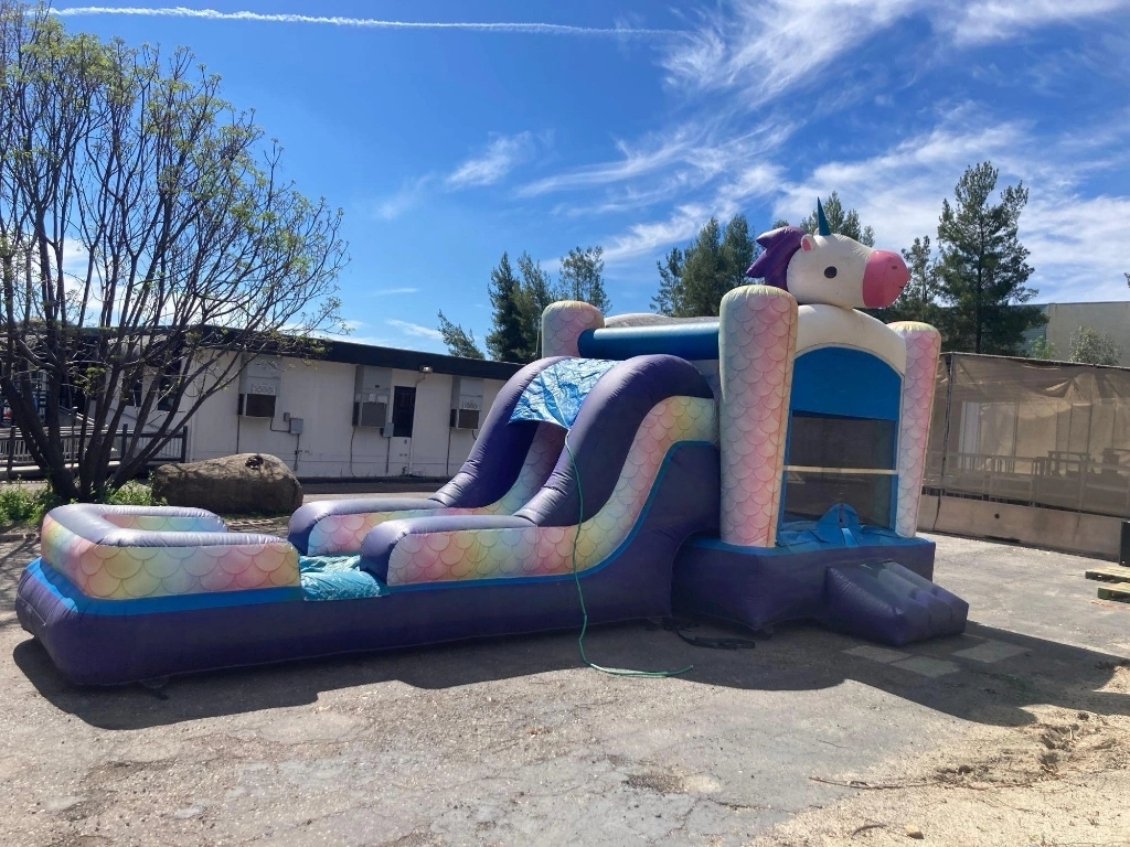 Unicorn Bouncer w/ Water Slide