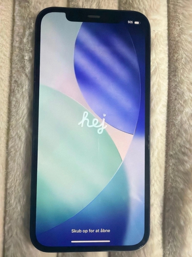 Apple iPhone – Included in Furniture Store Inventory Auction