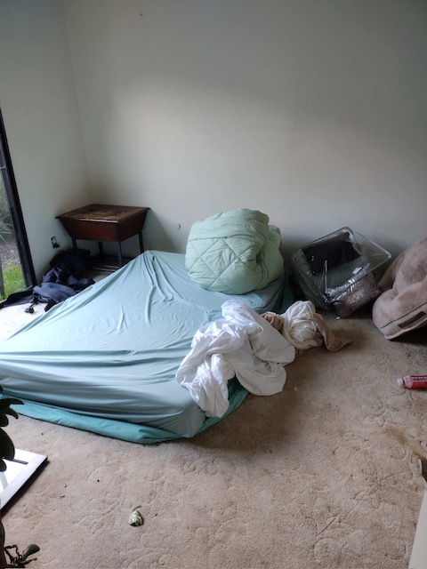 San Diego resale furniture auction