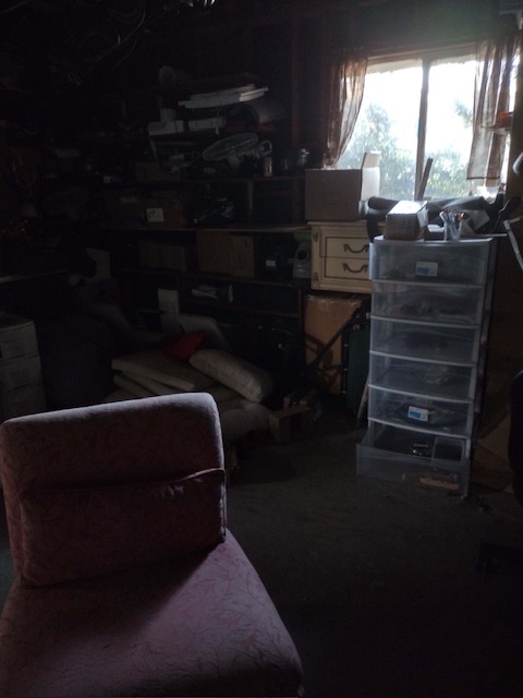 plant collection auction San Diego