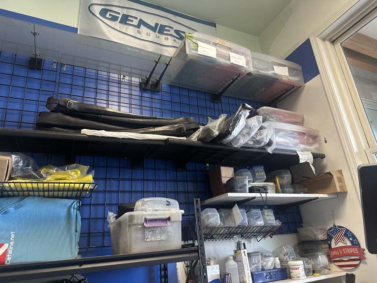 snorkeling gear and dive equipment