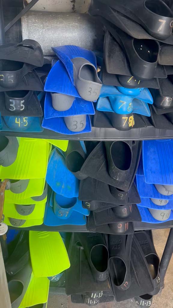 dive shop equipment for sale