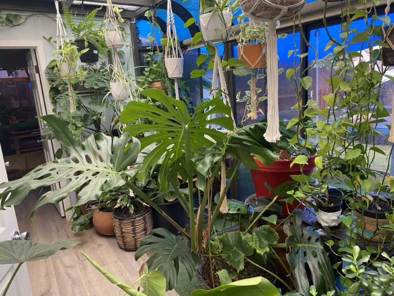 abandoned property sale san diego