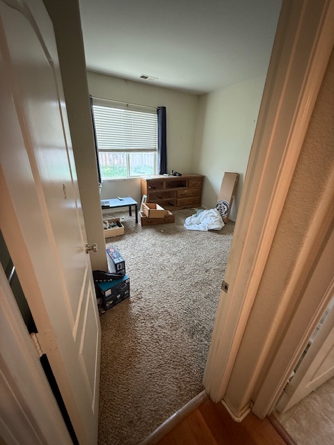 Blue lawn chair and yoga ball