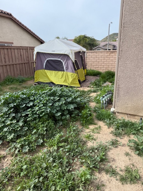 Outdoor hose roller and tent